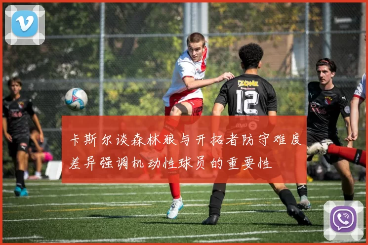 卡斯尔谈森林狼与开拓者防守难度差异强调机动性球员的重要性